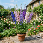 Potted plant with multicolored flowers on a wooden table in a garden setting
