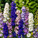 Colorful mix of flowers including purple, white, and pink against a green background